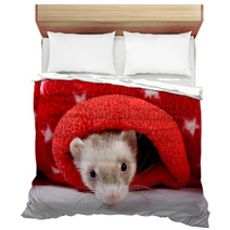 Sable Ferret Peeking Out Of Red Star Toy Bedding 90427518