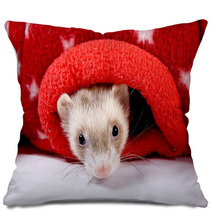 Sable Ferret Peeking Out Of Red Star Toy Pillows 90427518