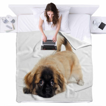 Sad Puppy Dog Is Resting Blankets 61536519