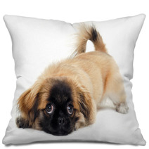 Sad Puppy Dog Is Resting Pillows 61536519