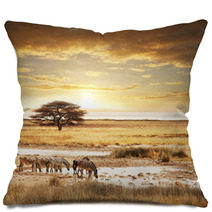 Safari Pillows 33148563