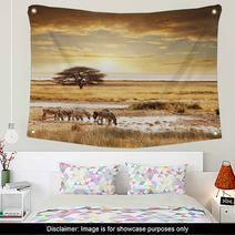 Safari Wall Art 33148563