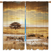Safari Window Curtains 33148563