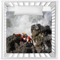 Sally Lightfoot Crab Nursery Decor 100008646