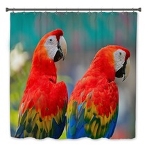 Scarlet Macaw Bath Decor 61611292