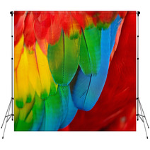 Scarlet Macaw Feathers Backdrops 58075375