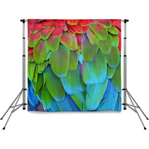 Scarlet Macaw Feathers Backdrops 72846656