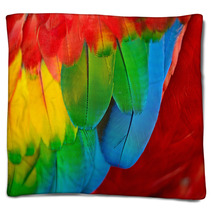 Scarlet Macaw Feathers Blankets 58075375