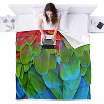 Scarlet Macaw Feathers Blankets 72846656