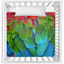 Scarlet Macaw Feathers Nursery Decor 72846656