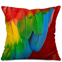 Scarlet Macaw Feathers Pillows 58075375