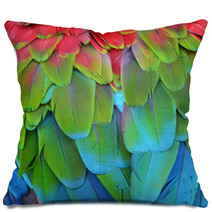 Scarlet Macaw Feathers Pillows 72846656