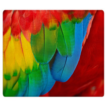 Scarlet Macaw Feathers Rugs 58075375