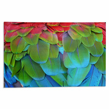 Scarlet Macaw Feathers Rugs 72846656