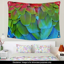 Scarlet Macaw Feathers Wall Art 72846656