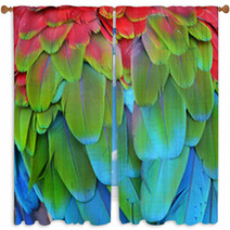 Scarlet Macaw Feathers Window Curtains 72846656