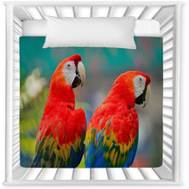Scarlet Macaw Nursery Decor 61611292