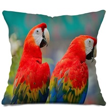 Scarlet Macaw Pillows 61611292