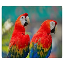 Scarlet Macaw Rugs 61611292