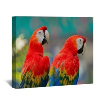 Scarlet Macaw Wall Art 61611292
