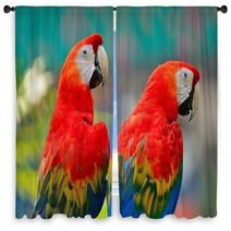 Scarlet Macaw Window Curtains 61611292