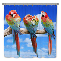 Scarlet Macaw With Beautiful Sky. Bath Decor 68638642