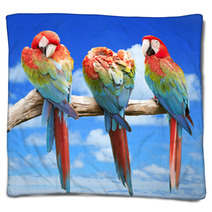Scarlet Macaw With Beautiful Sky. Blankets 68638642