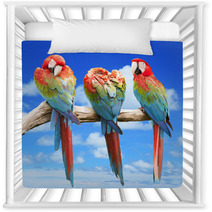Scarlet Macaw With Beautiful Sky. Nursery Decor 68638642