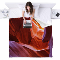 Scenic Canyon Antelope Blankets 28751938