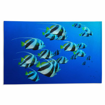 Schooling Bannerfish In Blue Water Rugs 44035561