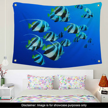Schooling Bannerfish In Blue Water Wall Art 44035561