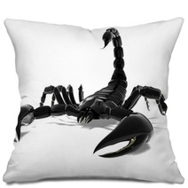 Scorpio Pillows 60004024