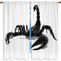 Scorpio Window Curtains 60004024