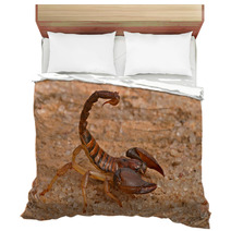 Scorpion Bedding 1034797