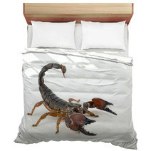 Scorpion Bedding 57371105