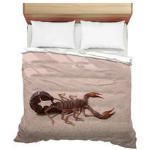 Scorpion Bedding 93150729