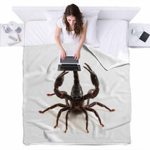 Scorpion Blankets 87966647