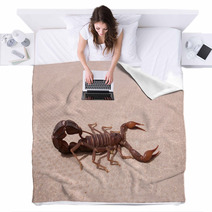 Scorpion Blankets 93150729