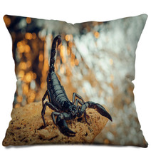Scorpion In A Fighting Stance. Russian Nature Pillows 87127955