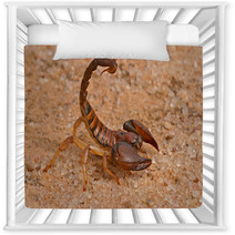 Scorpion Nursery Decor 1034797