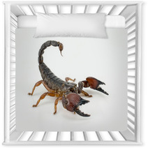 Scorpion Nursery Decor 57371105