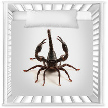 Scorpion Nursery Decor 87966647