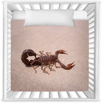 Scorpion Nursery Decor 93150729