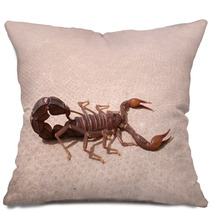 Scorpion Pillows 93150729