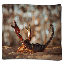 Scorpion Protected. Russian Nature Blankets 89159481