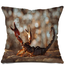 Scorpion Protected. Russian Nature Pillows 89159481