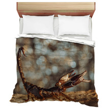 Scorpion Protected. Side View. Russian Nature Bedding 89159547