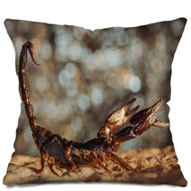 Scorpion Protected. Side View. Russian Nature Pillows 89159547