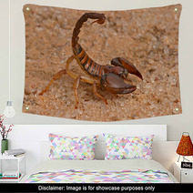 Scorpion Wall Art 1034797