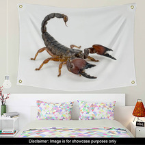 Scorpion Wall Art 57371105